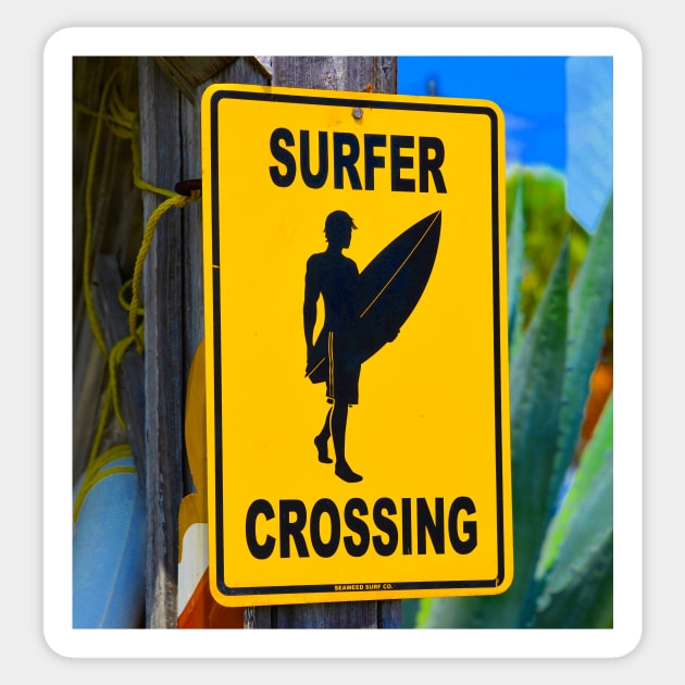 Surfer crossing Sticker by dltphoto